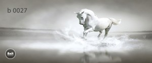 عکس اسب رادیاتور رنگی
