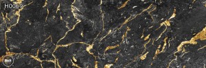 H0069